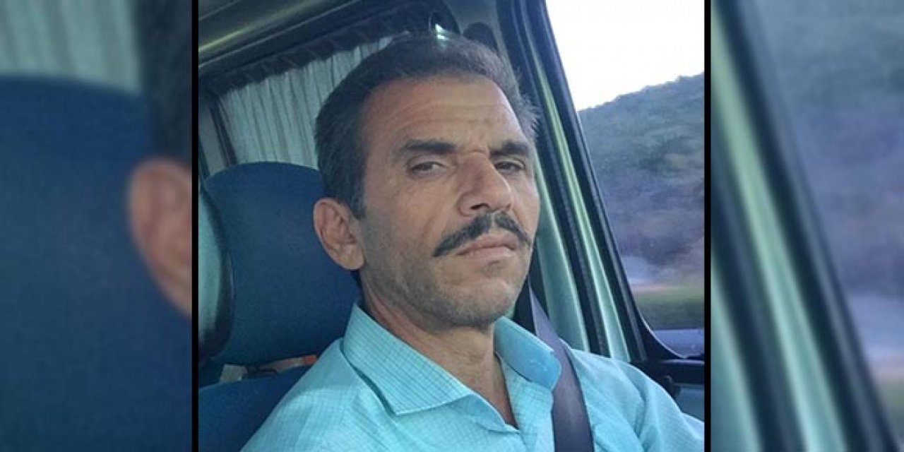 Erik toplamak isterken canından oldu