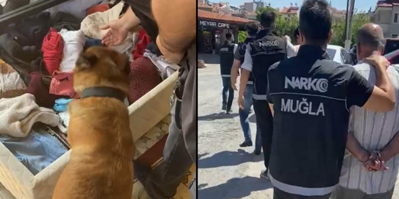 Muğla ve Aydın'da zehir tacirlerine yönelik operasyon