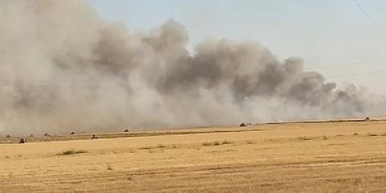 Ekili arazide yangın: 300 dönüm kül oldu