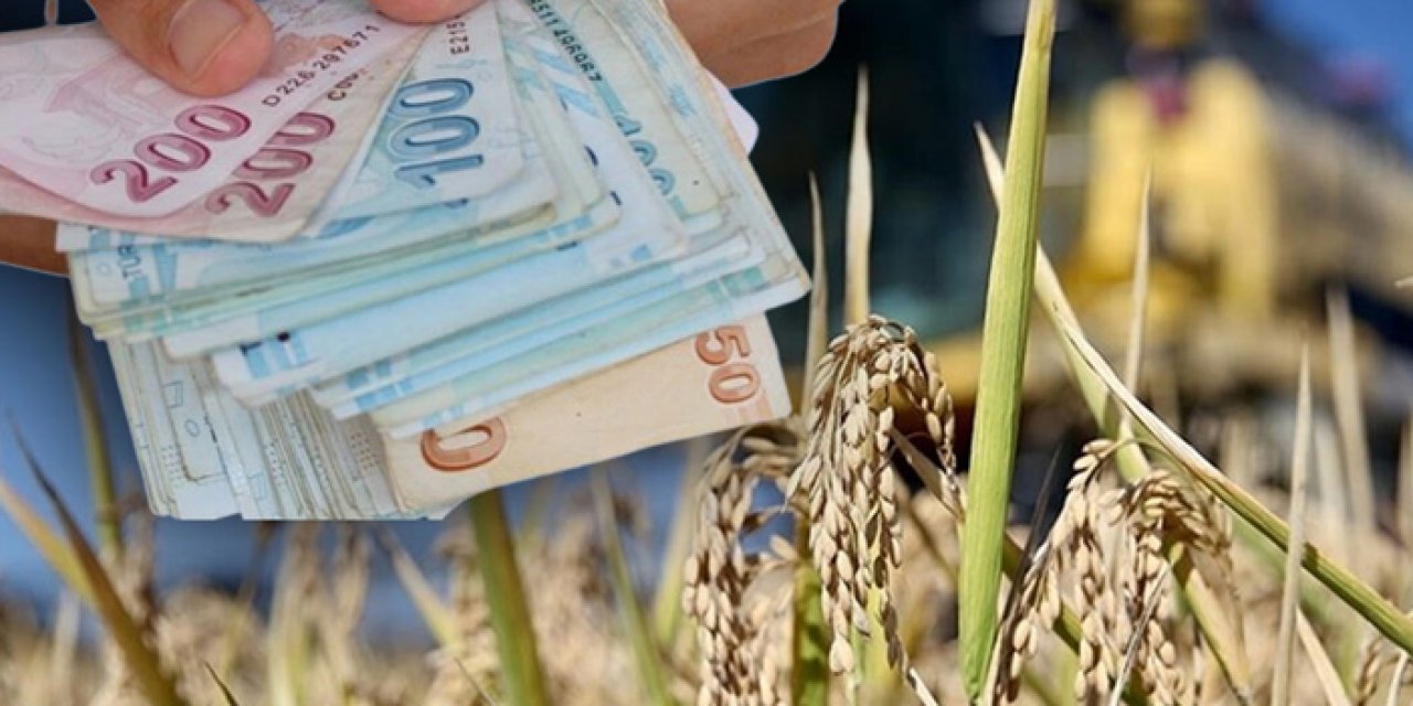 1200 adet projeye 300 milyon TL hibe sağlanacak