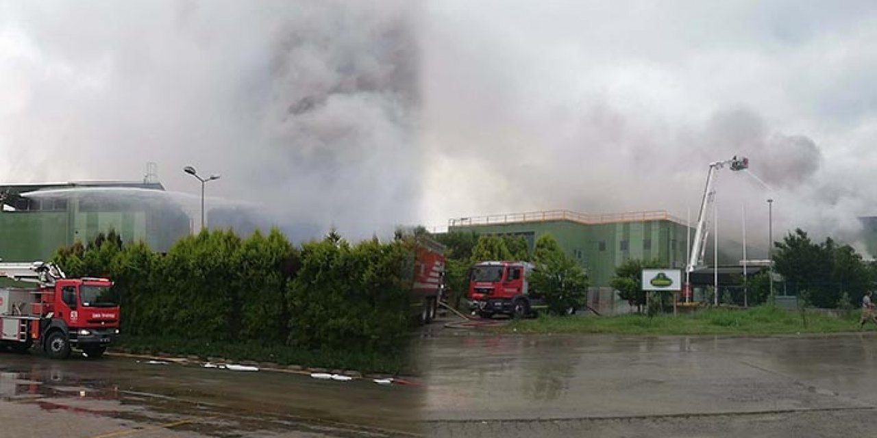 Turşu fabrikasına yıldırım düştü: Alevler yarım saatte söndürüldü