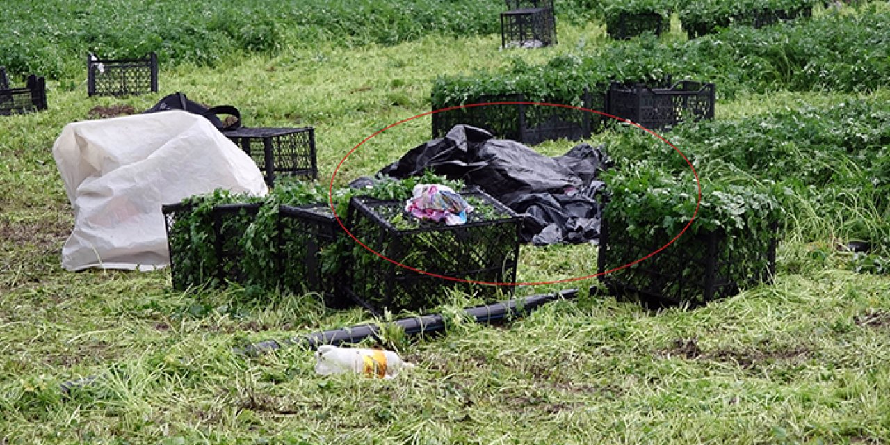 Tarlada çalışırken üzerine yıldırım düştü: Hayatını kaybetti