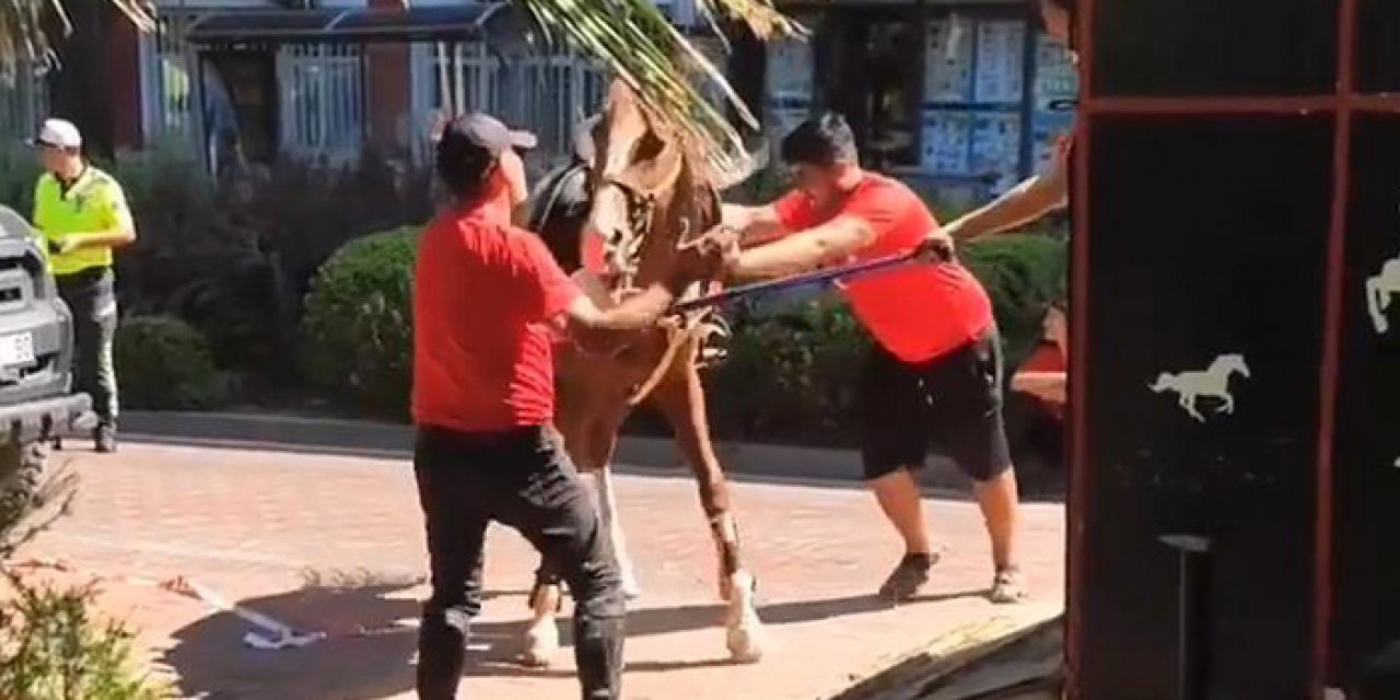 Ata şiddete yönelik yoruma bin 300 lira ceza