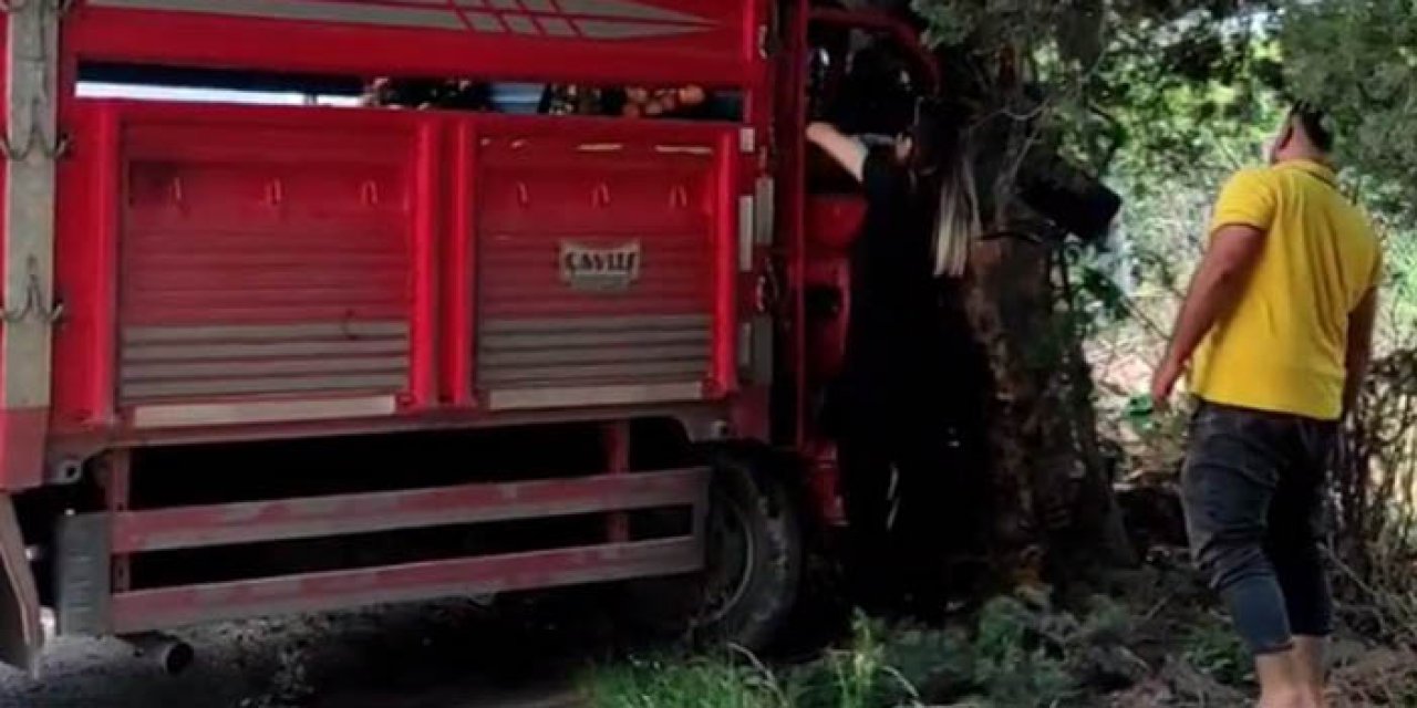 Mersin’de kamyonet ağaca çarptı: 1 ölü 6 yaralı