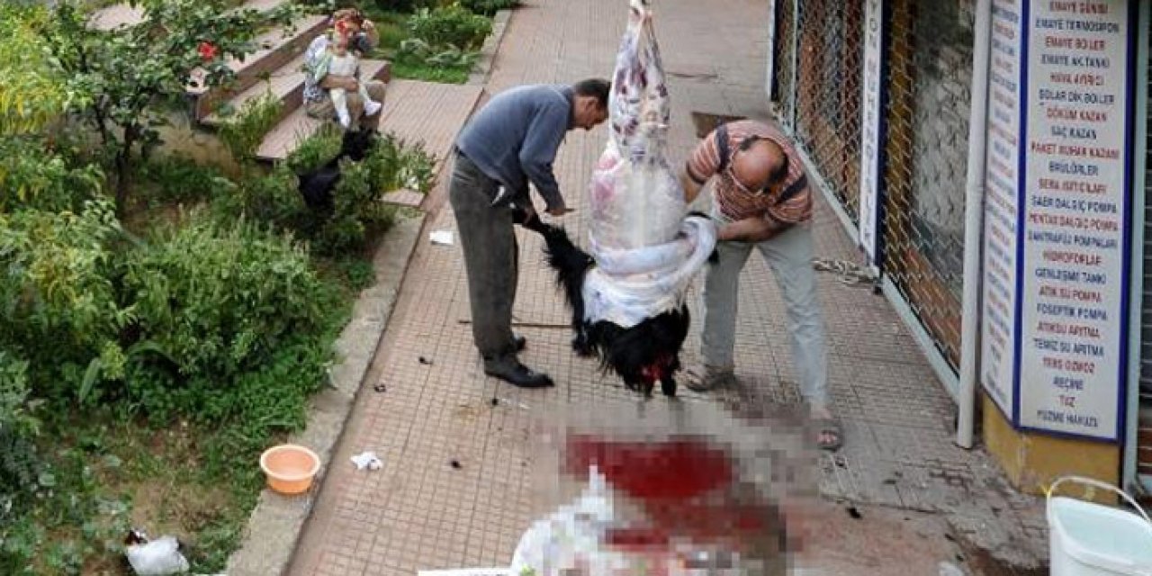 Sokakta kurban kesip, atıklarını gömenlere para cezası