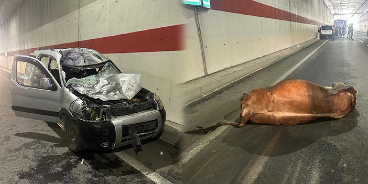 Alt geçitte ineğe araç çarptı: 3 yaralı