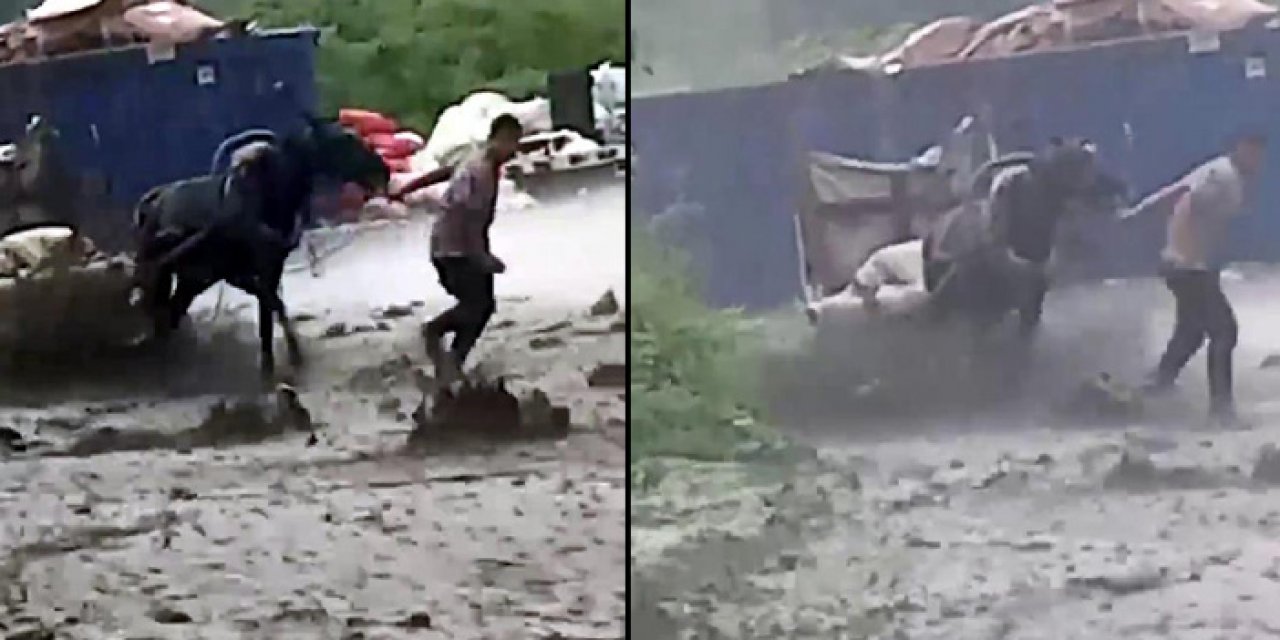 Sakarya'da sağanak: Atını terk etmedi