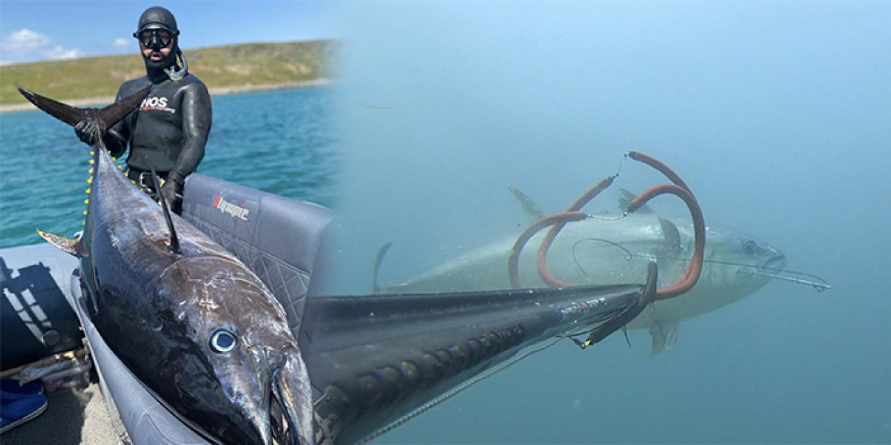 Çanakkale Boğazı'nda 110 kiloluk orkinos