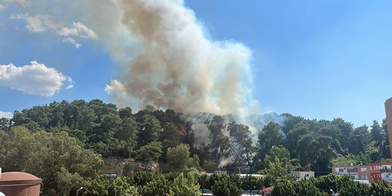 Antalya'da orman yangını