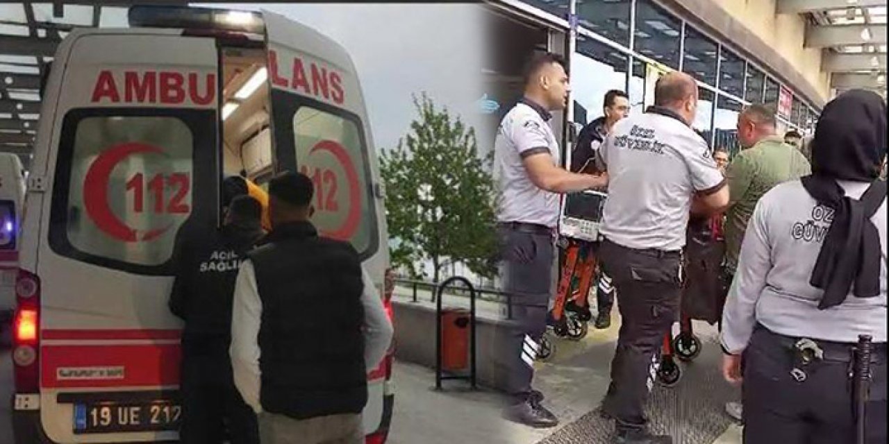 Kooperatif bekçisi ağaçtan erik toplayan kişiyi vurdu