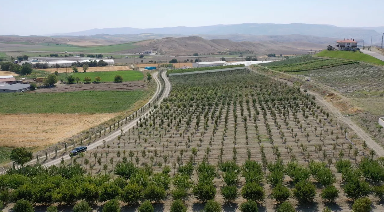 Teşvik için kurmuşlardı: İlçeye örnek oldu!