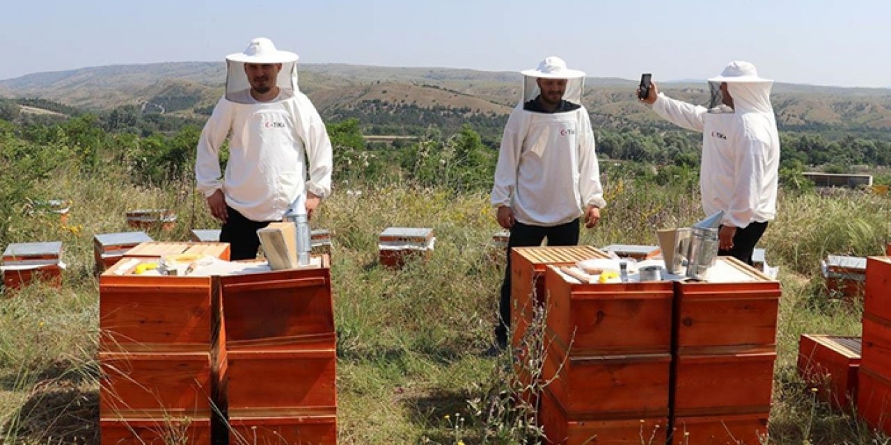 Kuzey Makedonya’daki arıcılara TİKA'dan destek