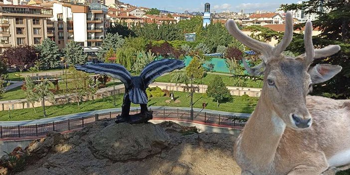 Dolu dolu park: Ailelerin ilk tercihi Keçiören Ihlamur Vadisi