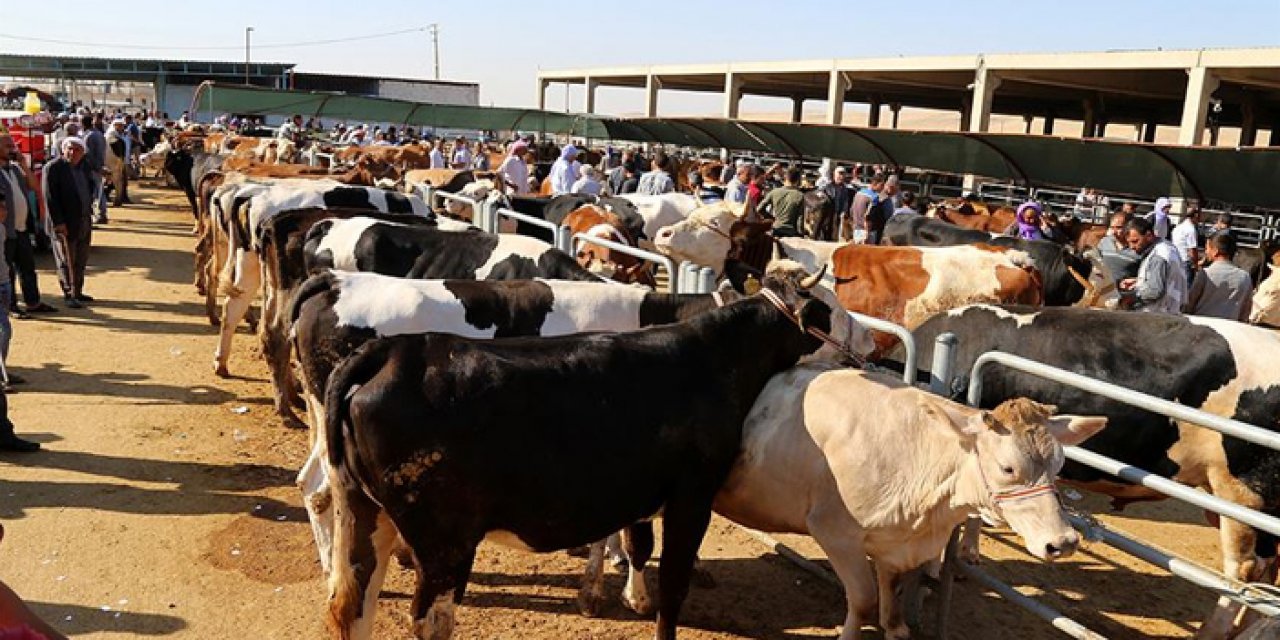 Kurban kesim yasaklarının cezası belli oldu