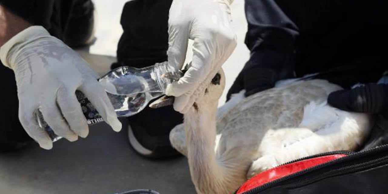 Cami kubbesinden düştü; itfaiye ekipleri seferber oldu