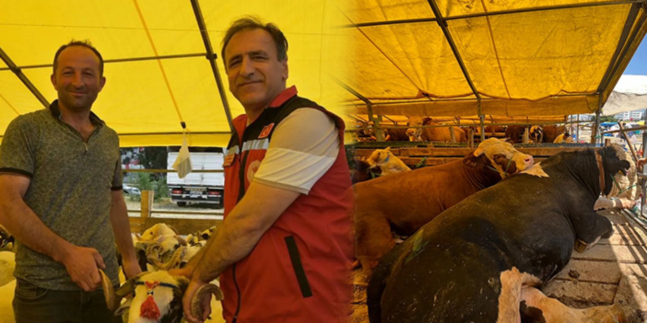 Bayrama sayılı günler kala İstanbul Kurban pazarlarında denetim sıklaştı