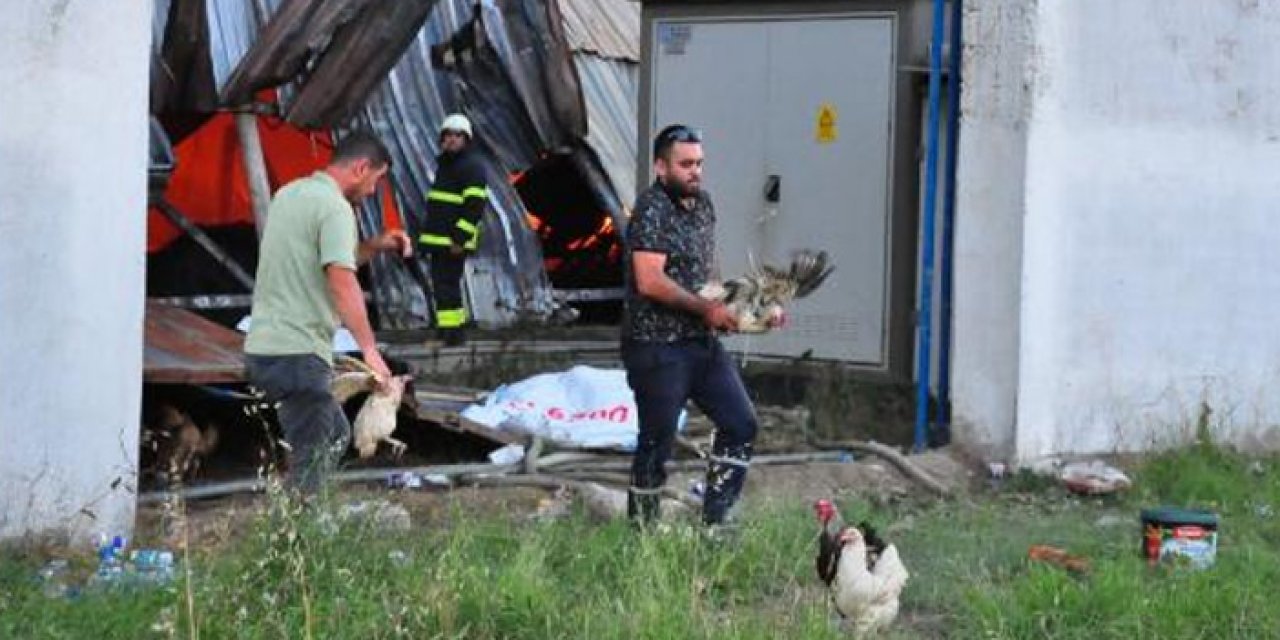 Manisa'daki yangında yüzlerce tavuk ve horoz yanmaktan kurtuldu