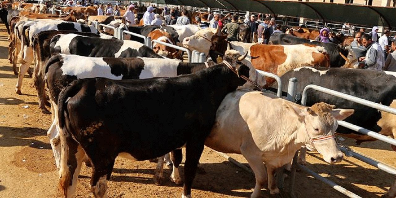 Tüm illere gönderildi: 'Kurban kesimi' genelgesi
