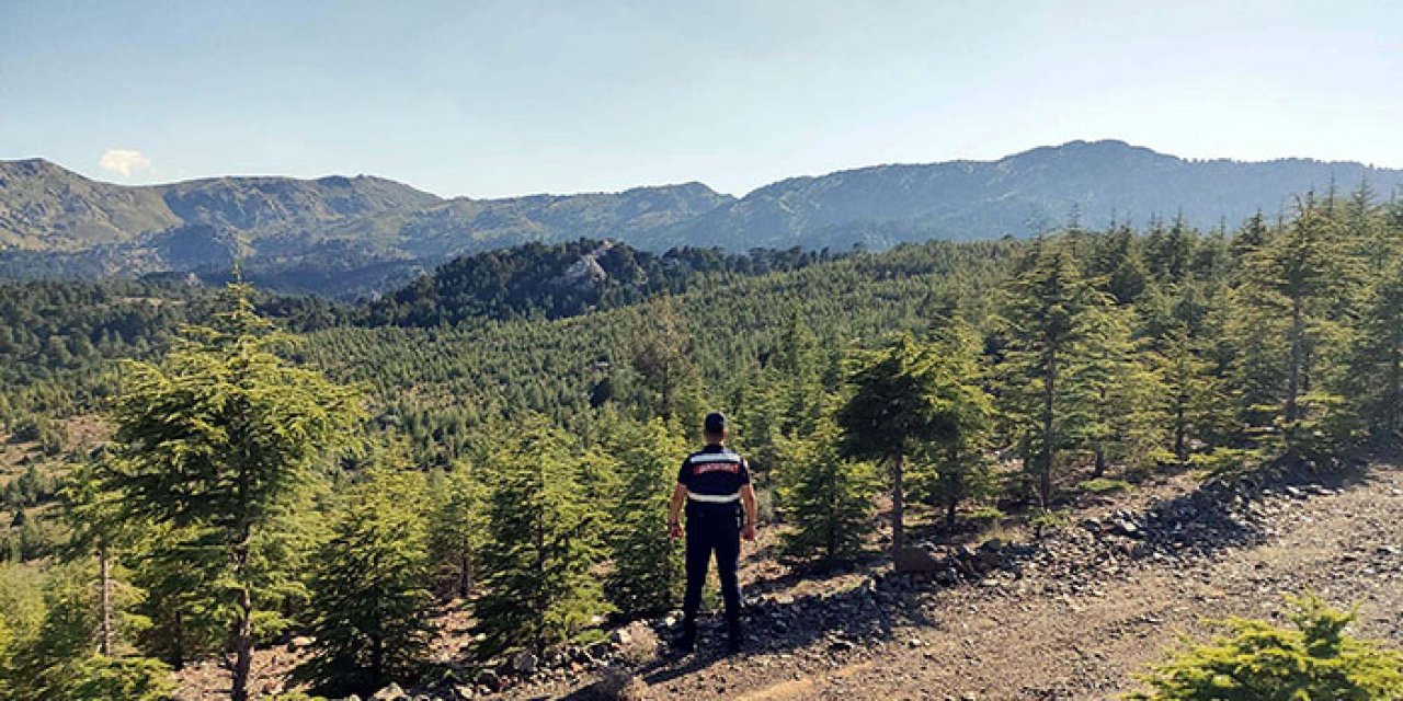 Orman girişi yasakları başka şehirlerde de devam ediyor