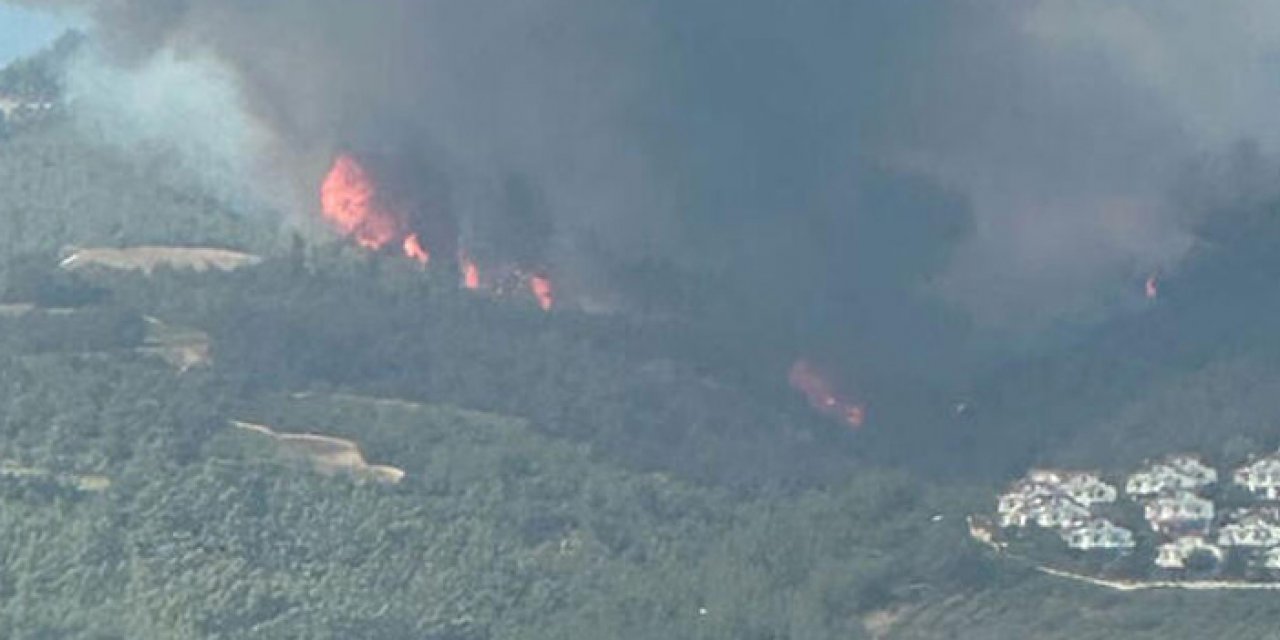 Adana'da orman yangını kısmen kontrol altında