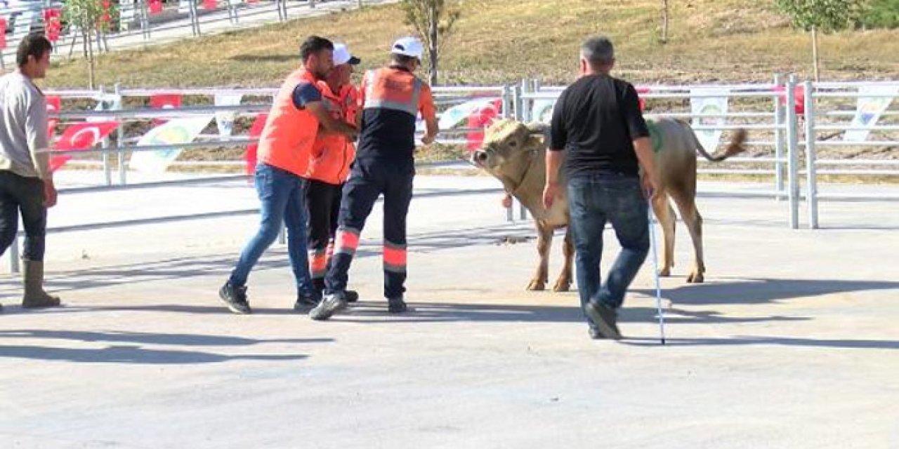 Başkentte 'kurban yakalama timi' hazır