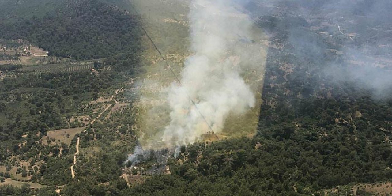 İzmir Bergama'da orman yangını