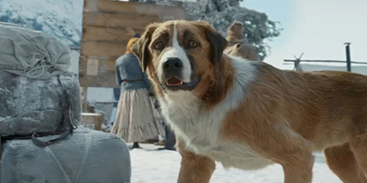 Vahşetin Çağrısı Köpek Gerçek mi?