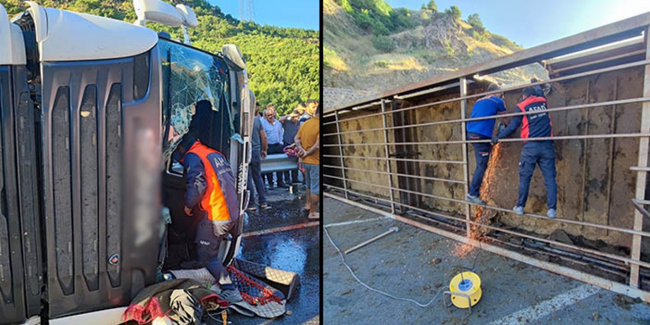 Bitlis’te TIR devrildi: Sürücü yaşamını yitirirken 150 koyun telef oldu