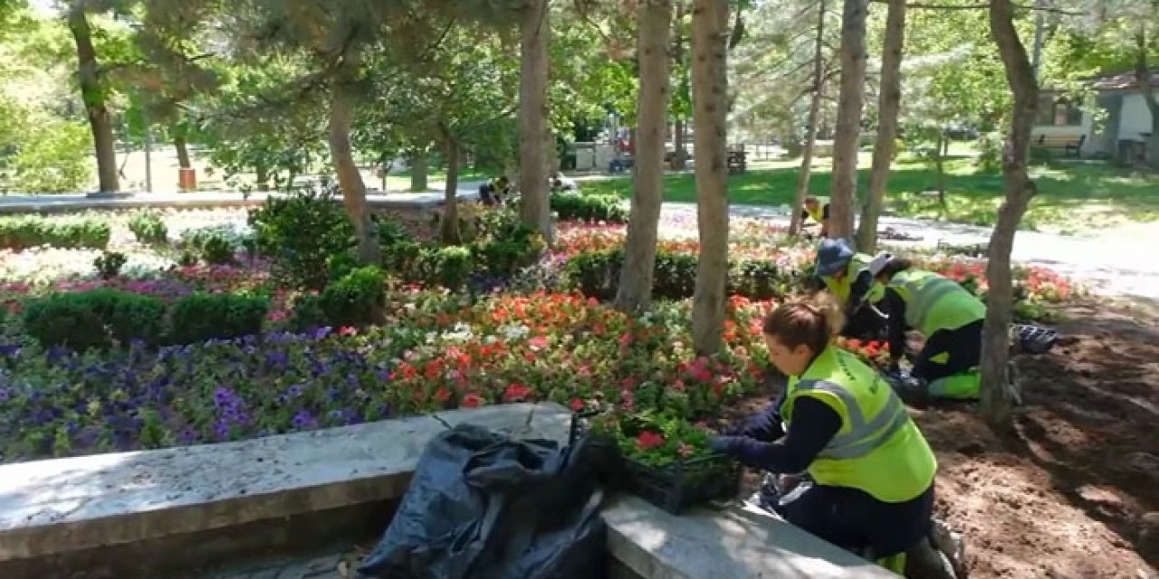 'Mevsimlik çiçekler başkenti süslüyor'