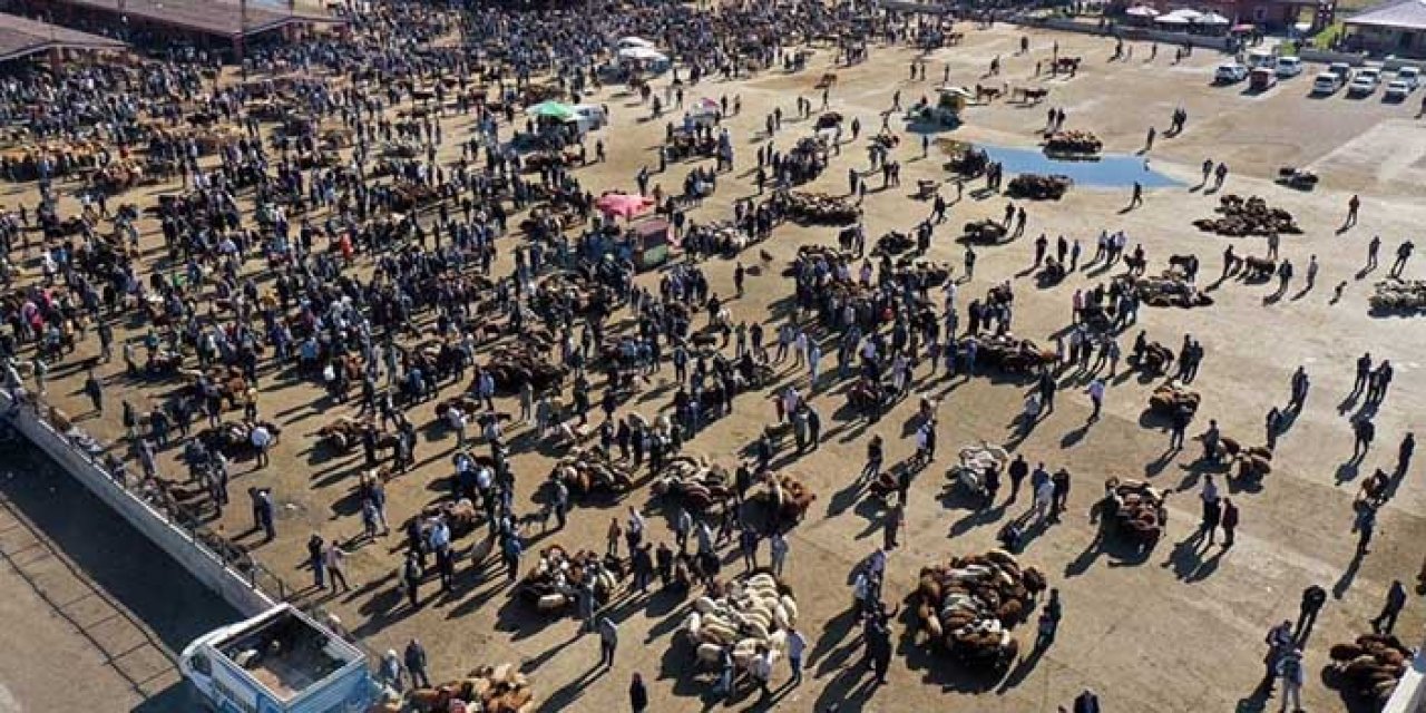 Ağrı’da Kurban Bayram’ı yoğunluğu