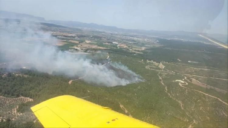 İzmir Buca'da Orman yangını çıktı