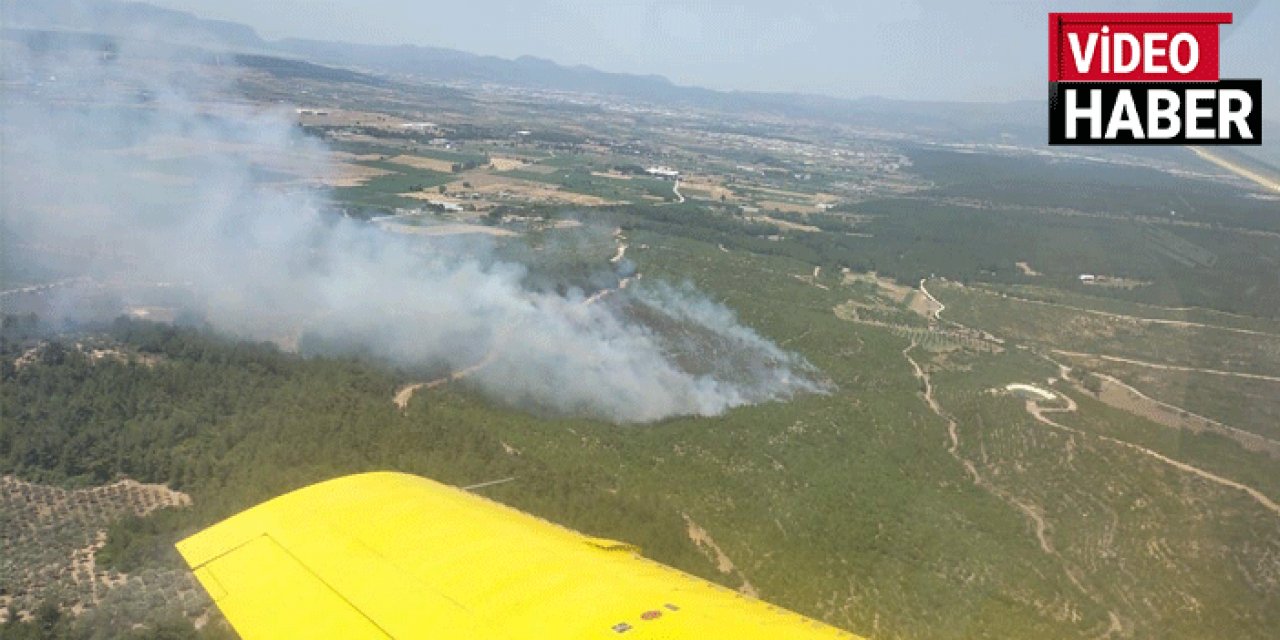 İzmir'de orman yangını