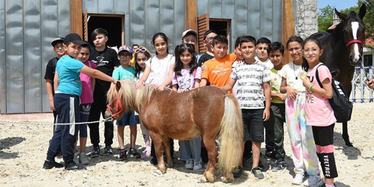 Altındağ Belediyesi’nde at maneji açıldı