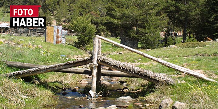 Başkentin yaylaları doğaseverleri bekliyor