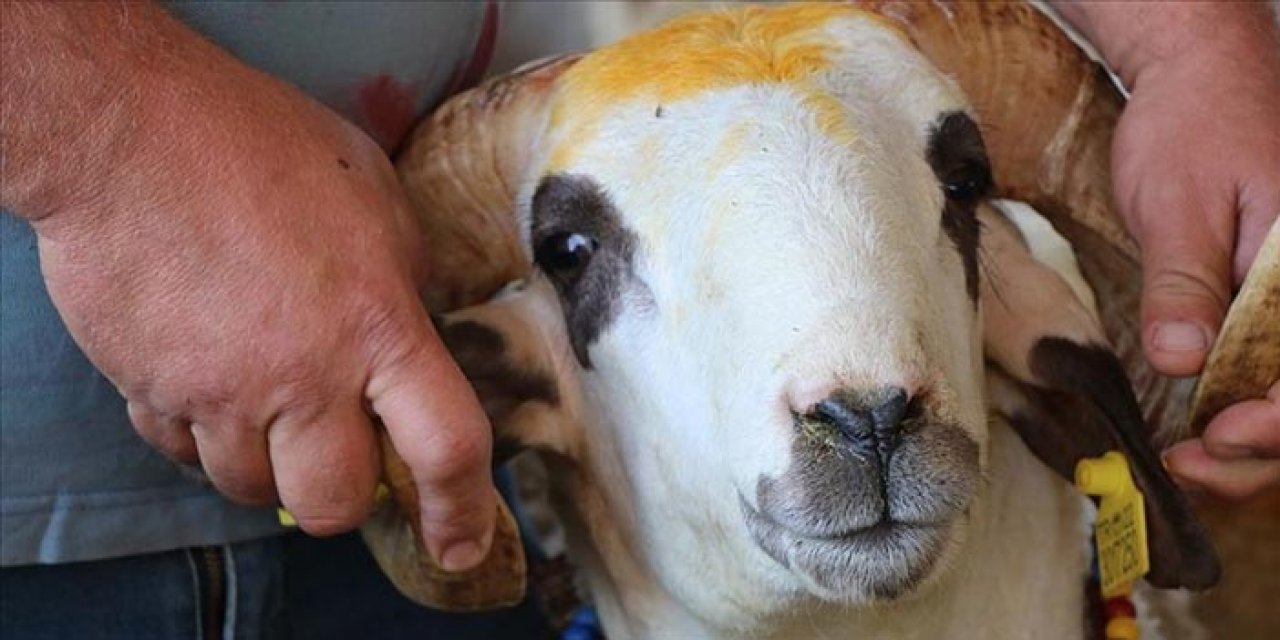 Arife gününde pazarlar doldu taştı