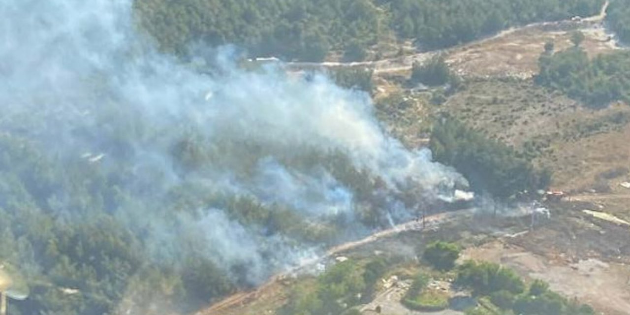 İzmir’de korkutan orman yangını