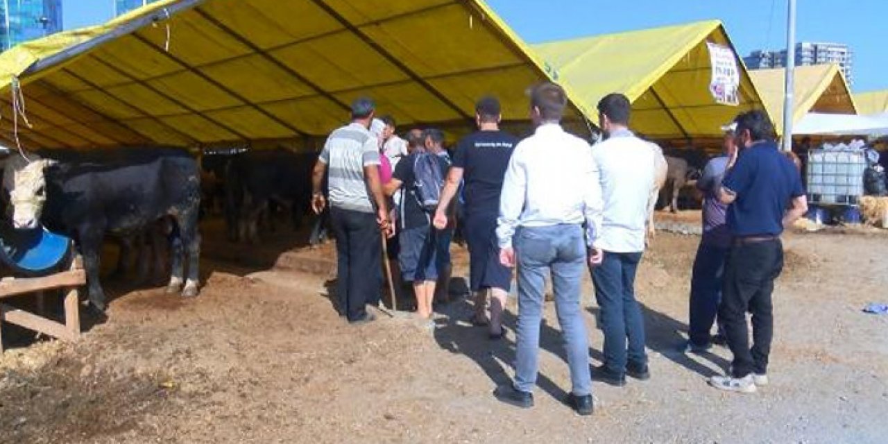 Kurban pazarlarında son gün nedeniyle fiyatlar düştü