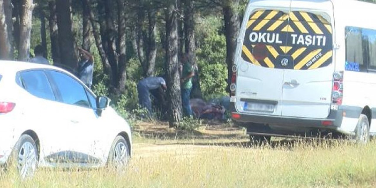 İstanbul'un göbeğinde kaçak kesimler