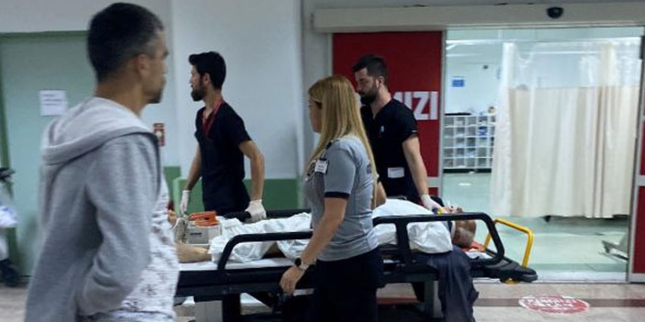 Kesmeye çalıştığı boğa yaşlı adamı komalık etti