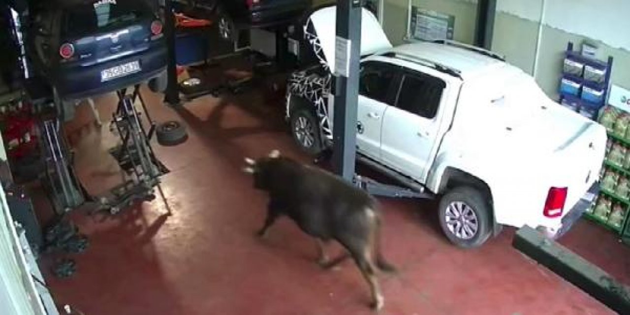 Kaçan boğa, tamirhanede yakalandı