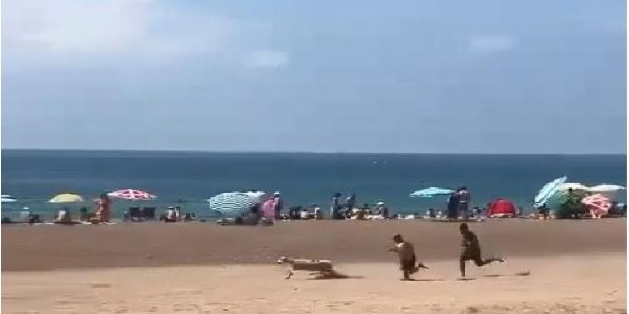 Denize girenler arasında kurbanlık kovaladılar