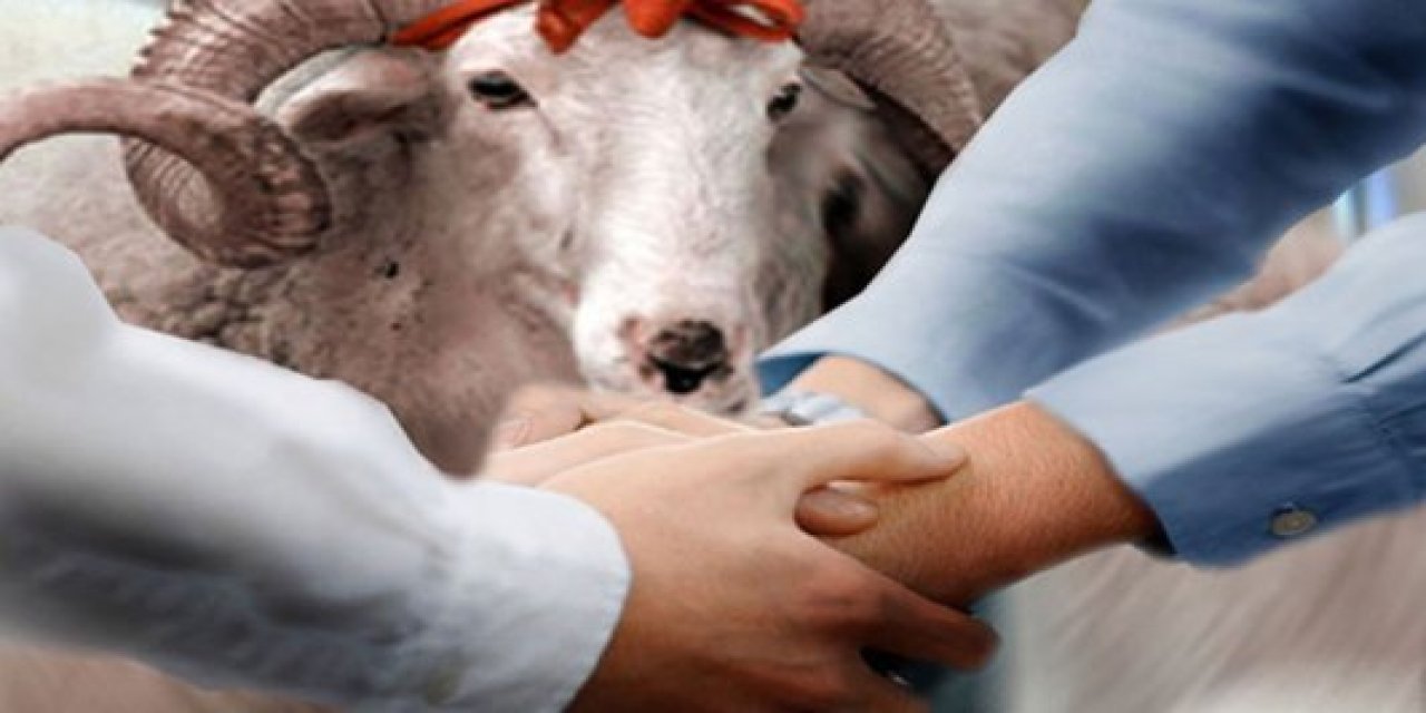 Kurban Bayramı'nda Paylaşmanın Kıymeti! Yardımlaşma ve Dayanışma Ruhuyla Adım Adım Mutluluğa...