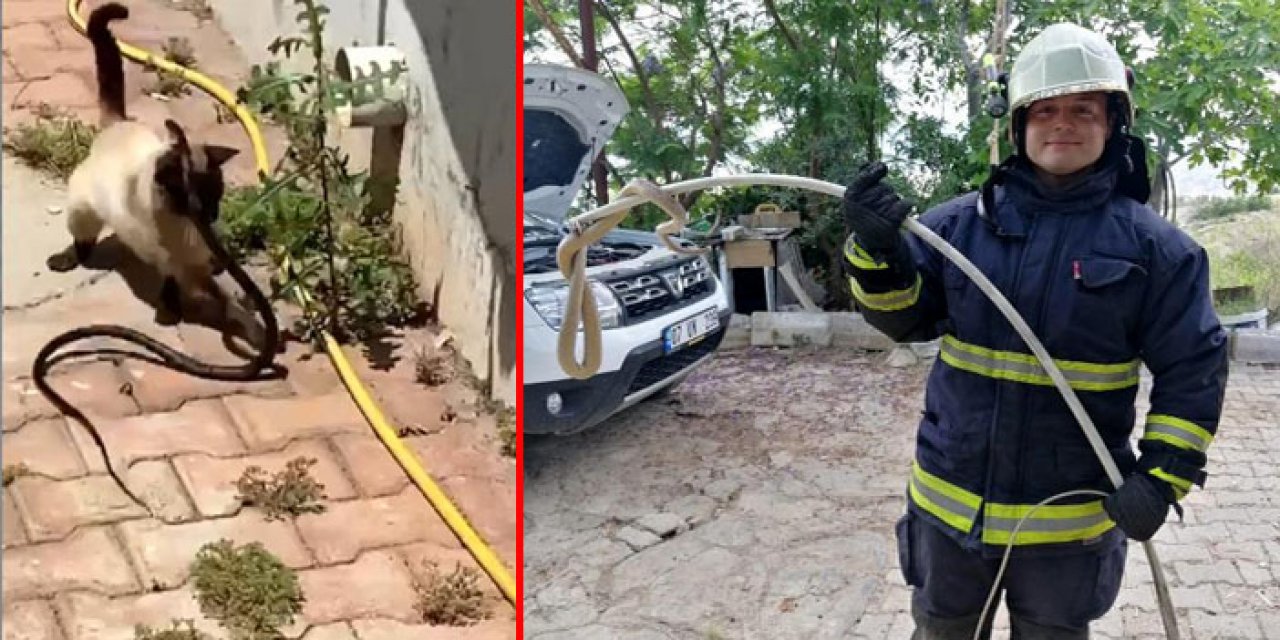 İtfaiyede yılan mesaisi: 15 günde 45 yılan yakalandı