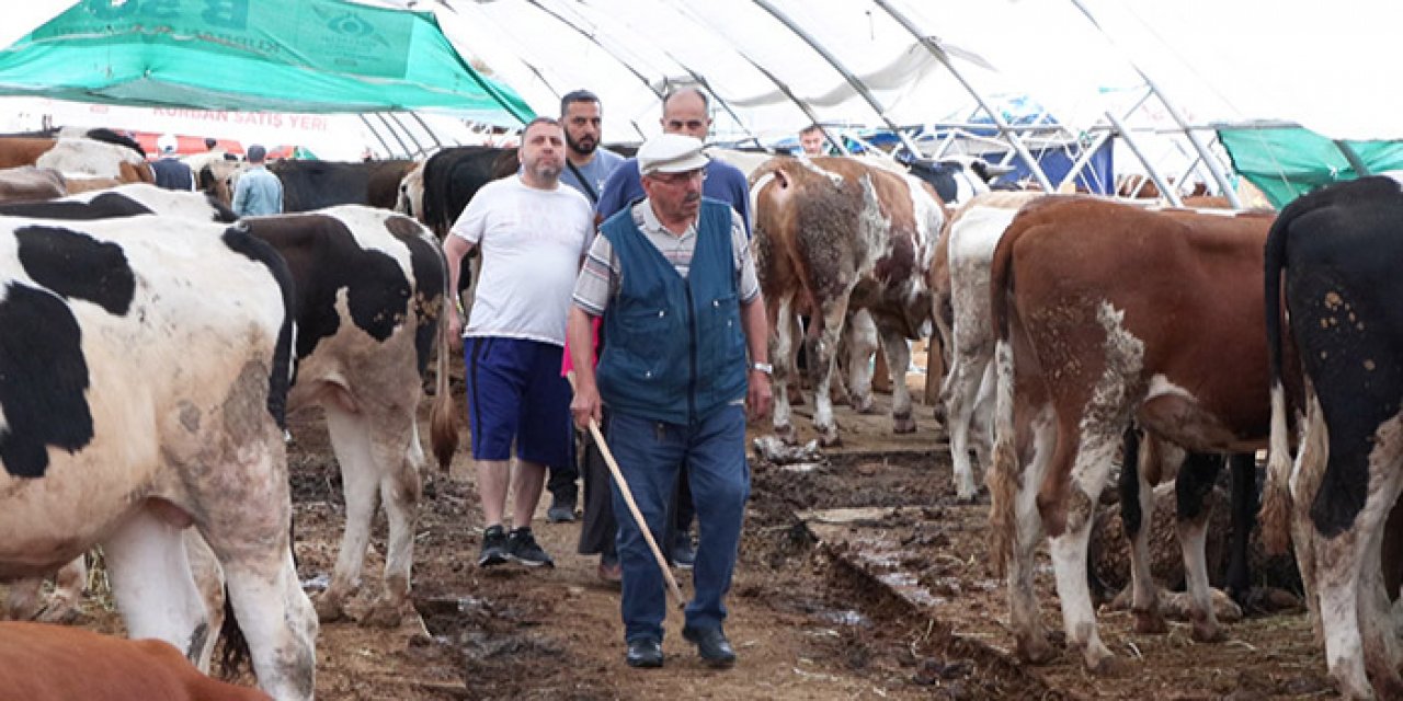 "Kurbanı ehline kestirin" uyarısı