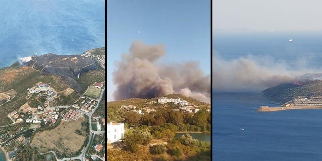 Muğla Datça'da başlayan orman yangını korkuttu