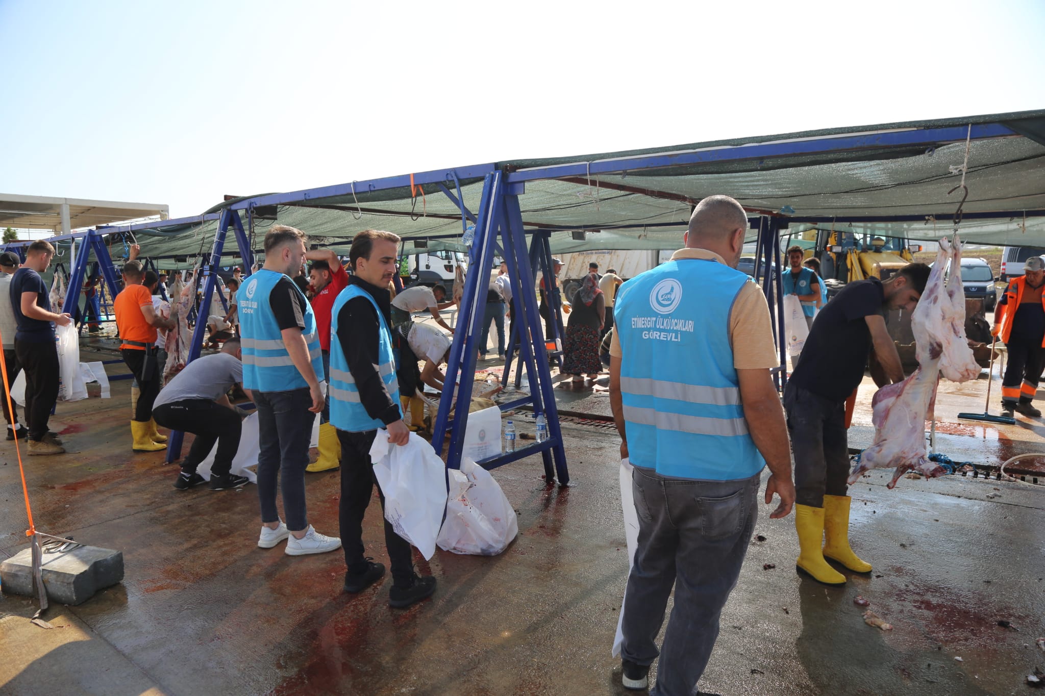 Ankara Ülkü Ocakları ihtiyaç sahipleri için 400 kurban kesti