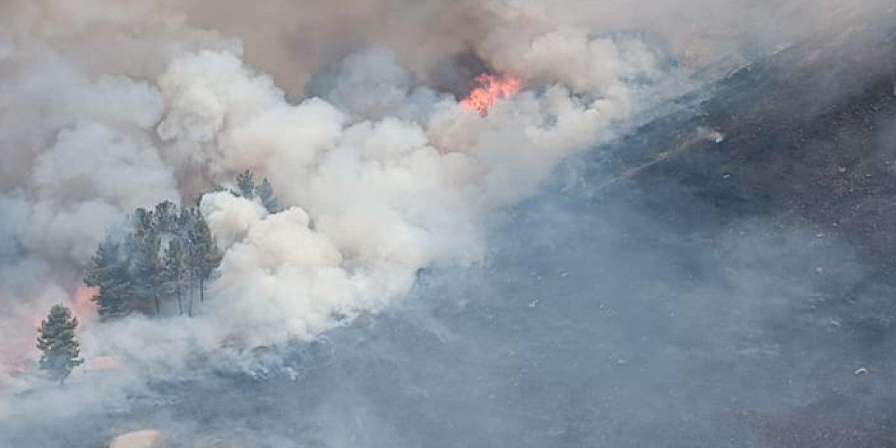 Batman'da 750 dönüm orman yandı