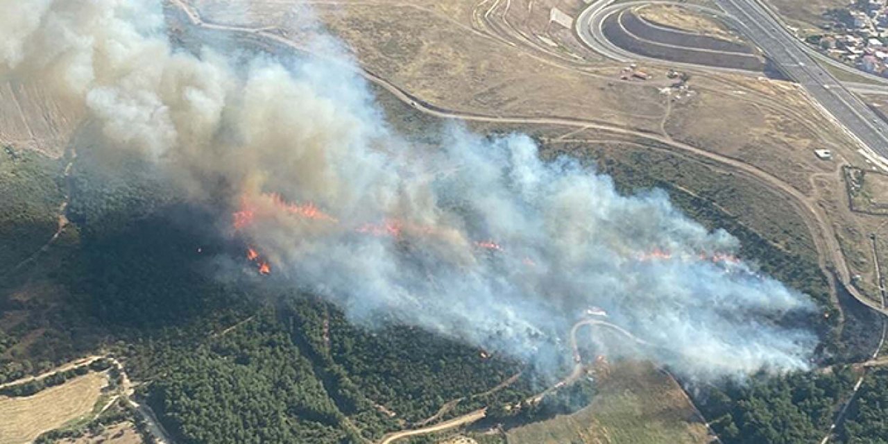 İzmir'de orman yangını çıktı