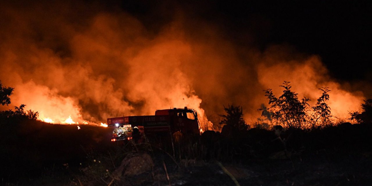 Buğday tarlası alev alev yandı: 100 dönüm alan zarar gördü