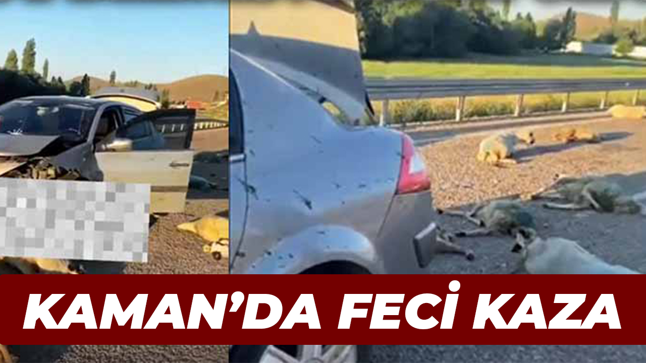 Kaman'da feci kaza: Otomobil sürüye daldı hayvanlar telef oldu